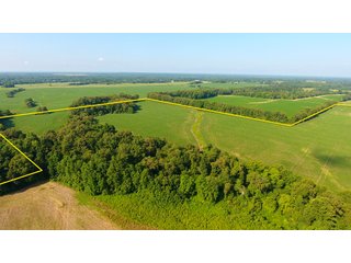 TRACT 21 - ILLINOIS LAND AUCTION - 4,810+/- ACRES OFFERED IN 85 TRACTS IN FRANKLIN, WILLIAMSON, HAMILTON & SALINE COUNTIES, ILLINOIS
